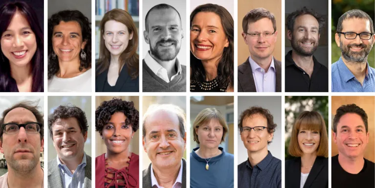 The new APSR editorial team