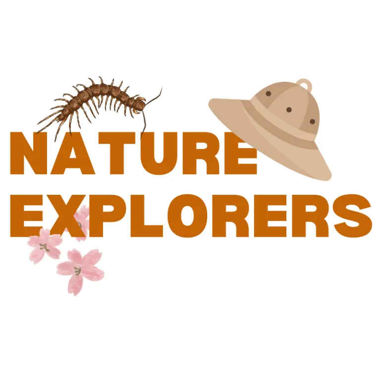 Nature Explorers