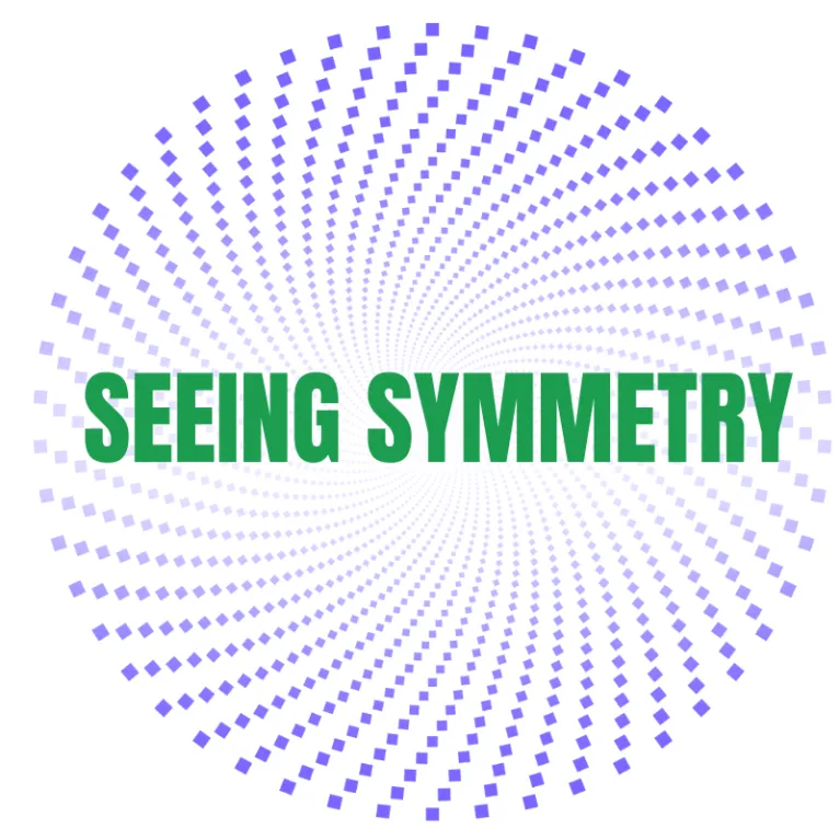 Seeing Symmetry