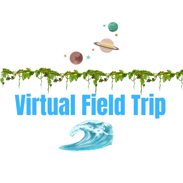 Virtual Field Trip