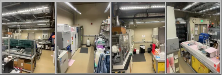 Bioactive Materials Research Laboratory facilities