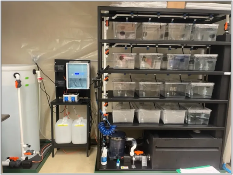 Aquatic Enterprises Aquarium Rack System and equipment.