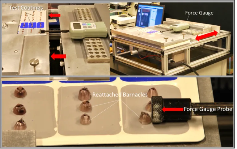 Barnacle Push-Off Apparatus