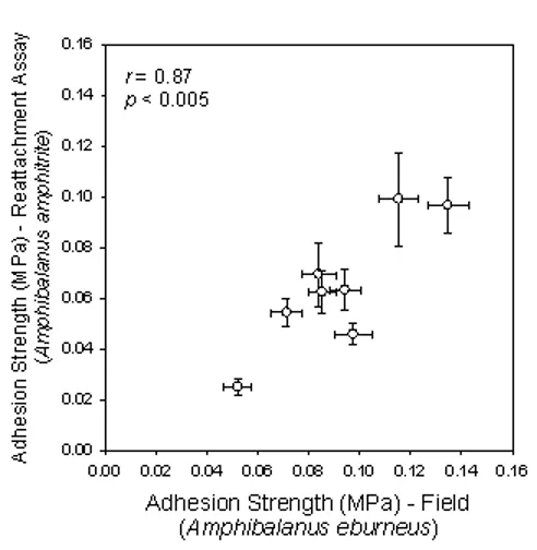 Barnacle adhesion NDSU vs. barnacle adhesion FIT graph.