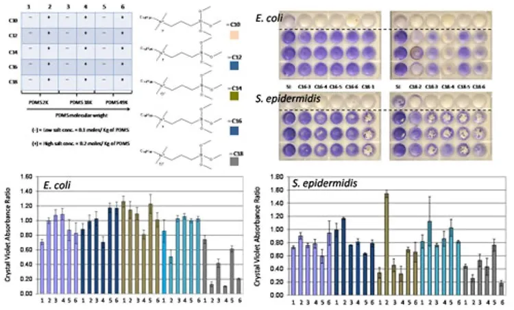 Biofilm Growth and Retention Assays