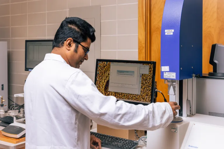 A student using Glutopeak for flour testing