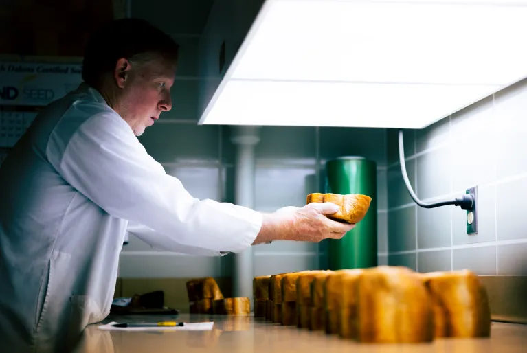 Bread evaluation under constant light source