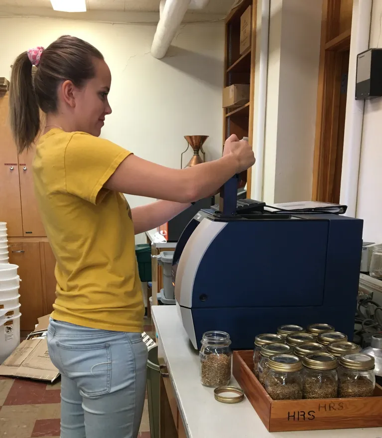 A stdent testing grain quality using FOSS NOVA