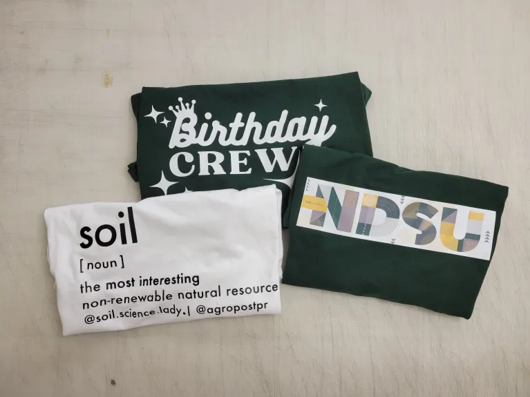 t shirt design options