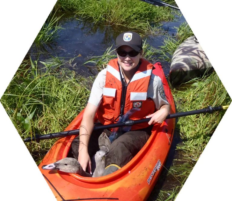 A person kayaking on a river with a duck in their kayak