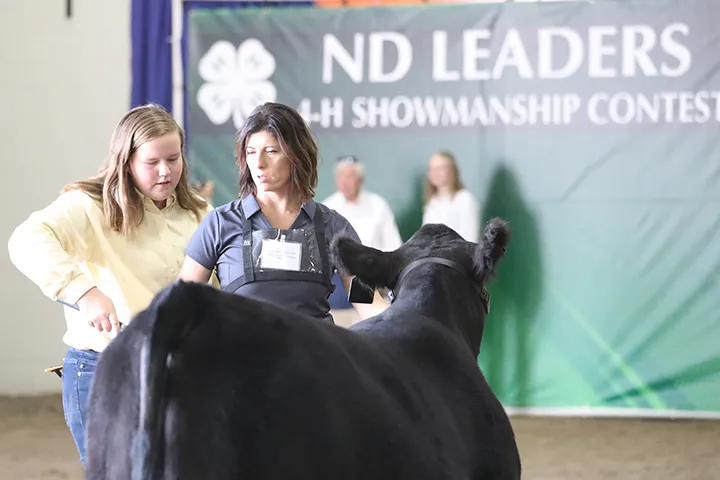 A 4-H'er and a ND leader standing behind a black cow.