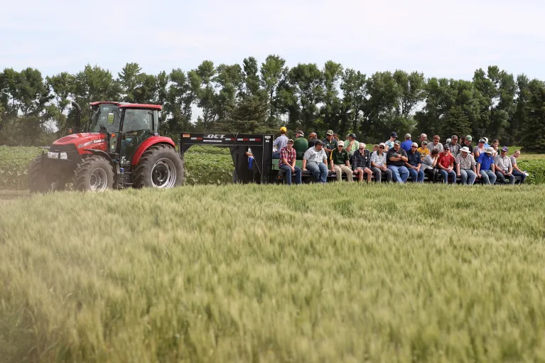 Group of people riding on a trailer, being pulled by a red tractor in a field.