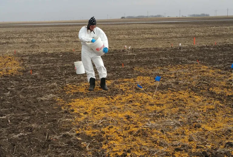 Research specialist spreads distillers grains on a test plot