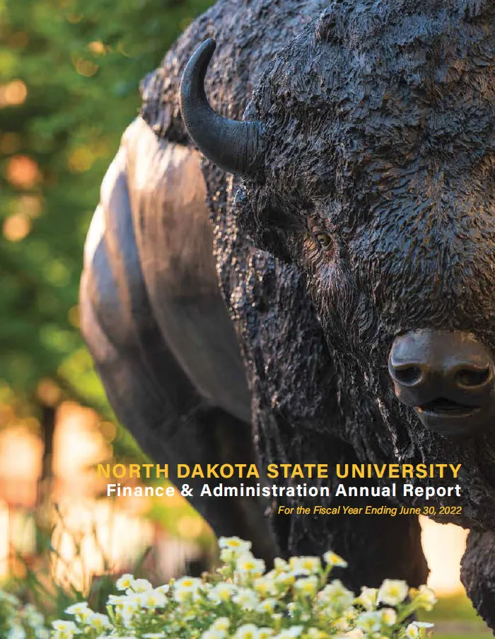 VPFA Annual Report 2022