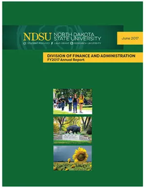 VPFA Annual Report 2017