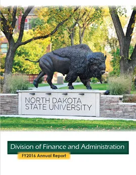 VPFA Annual Report 2016