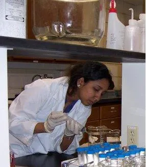 Dimuthu Wijeyaratne lab work