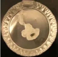 Figure 1. Thiol- arsenic complex synthesized.