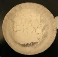 Figure 2. Arsenic ion-imprinted polymer synthesized.