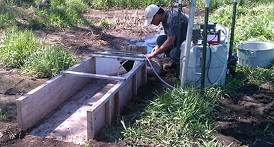 Atikur working in the field