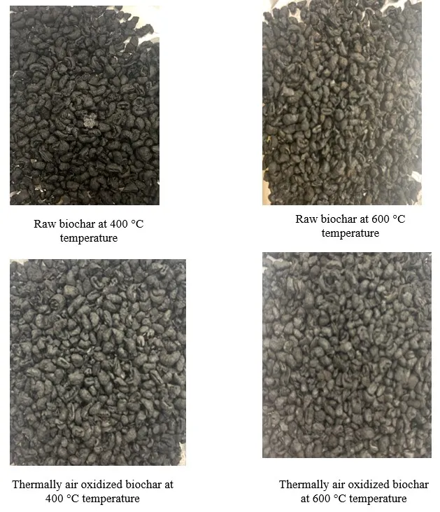 Raw and thermally air oxidized bio-char samples.