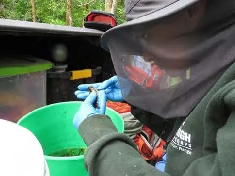 Rebecca Jones-Bradley