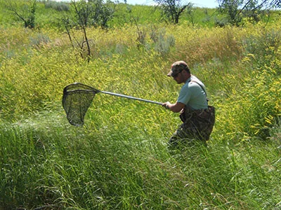 Justin out in the field