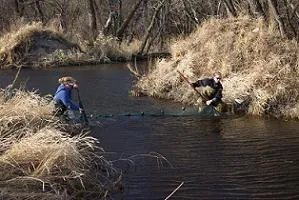 Seining a Minnesota Stream Spring 2005