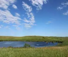 July overview of long-term monitoring survey prairie pothole wetland P8 in the Cottonwood Lake Study Area, North Dakota, USA