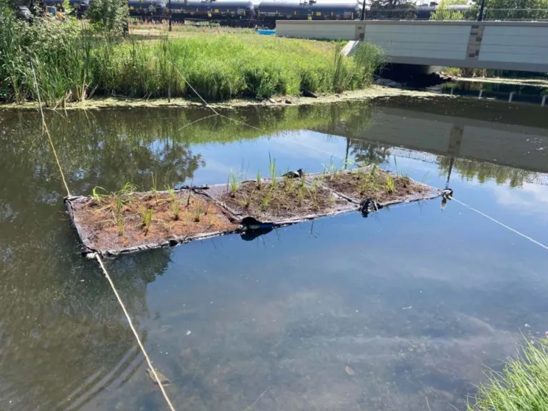 Pilot scale FTW in the English Coulee