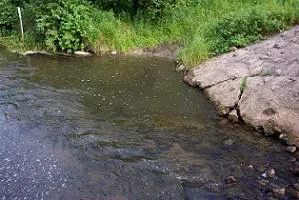 Sampling site on Upper Mississippi River Minnesota, Summer 2005