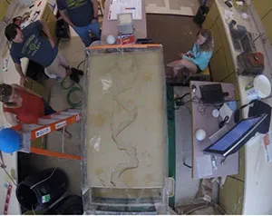 Zachary Phillips Research